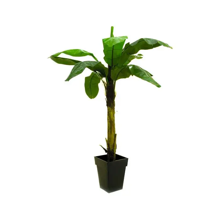Pianta di banano artificiale KEKOA, 220cm