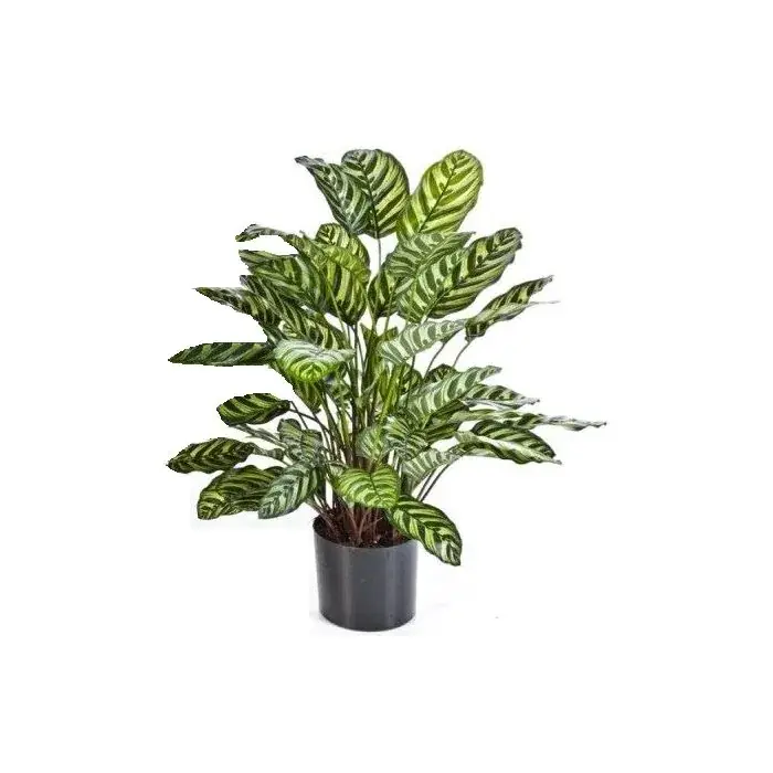 Calathea sintetica BADU, piccolo, verde-giallo, 80cm