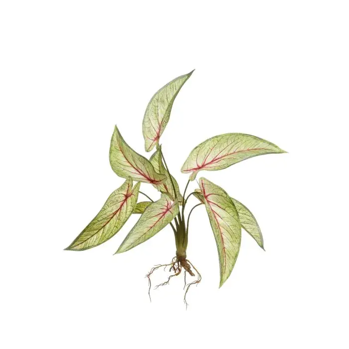 Calathea Ornata artificiale ASAGI, stelo, radici, verde-rosso, 40cm