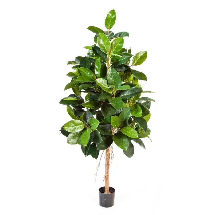 Albero della gomma finto DEVI, tronco naturale, verde, 210cm