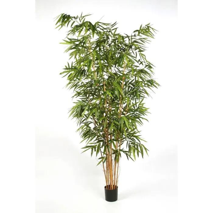 Albero di bambù artificiale FUDO, tronchi naturali, verde, 300cm