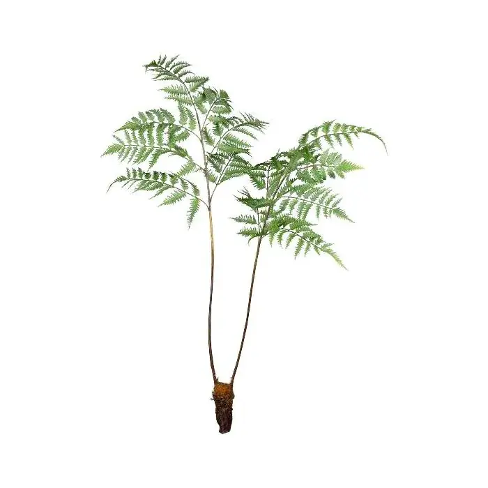 Pianta artificiale felce femmina DRAVLO, verde, 105 cm