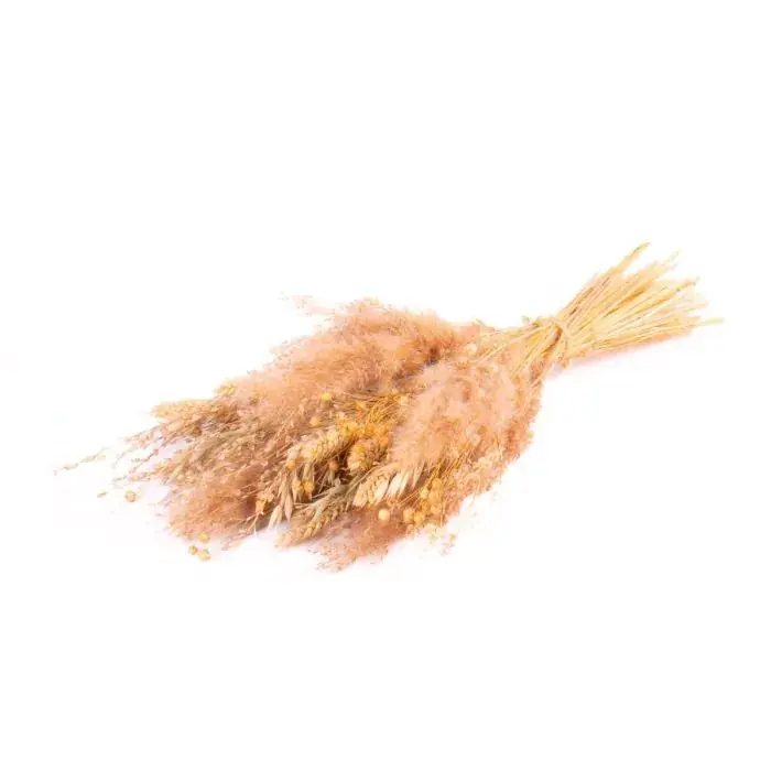 Bouquet secco EISTLA, naturale, 50cm, Ø23cm