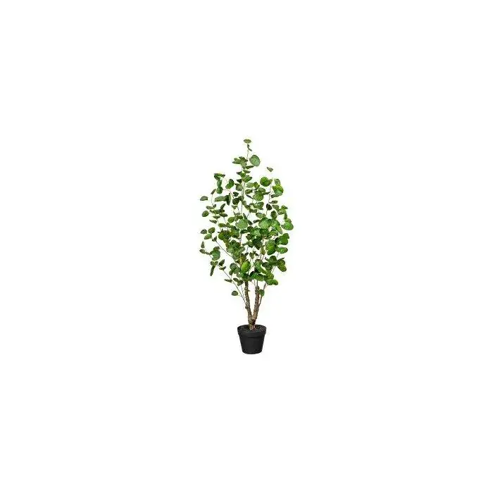 Pianta artificiale Aralia MULVI, vaso decorativo, tronco artificiale, 110 cm