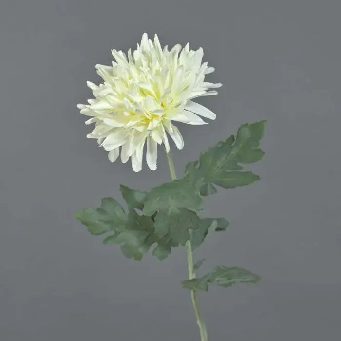 Crisantemo artificiale KAMPAL, bianco, 70cm