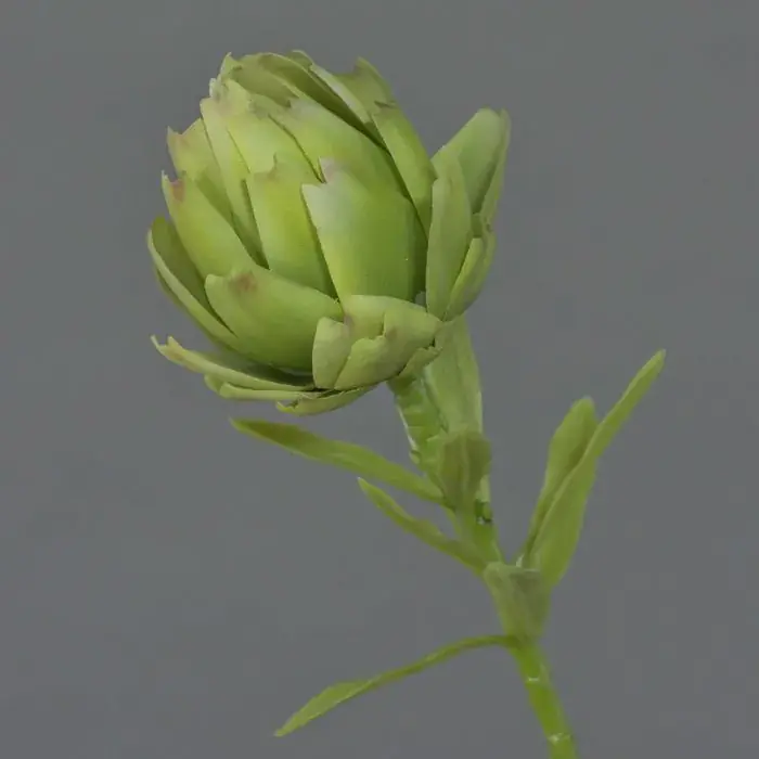 Fiore di carciofo in tessuto JENBALA, verde, 35 cm, Ø 6 cm