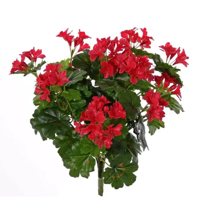 Geranio artificiale BERENIKE su stelo, zona trasversale, rosso, 40cm, Ø5-8cm
