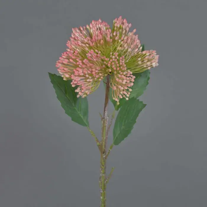 Fiore di sedum in plastica JICAMA, rosa-bianco, 45cm