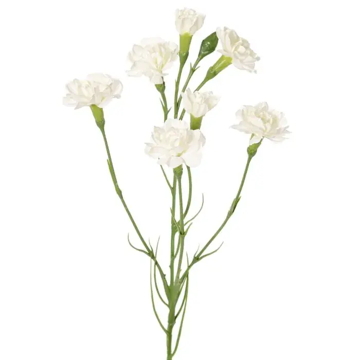 Ramo finto garofano PIARA, bianco, 60 cm, Ø 2-5 cm