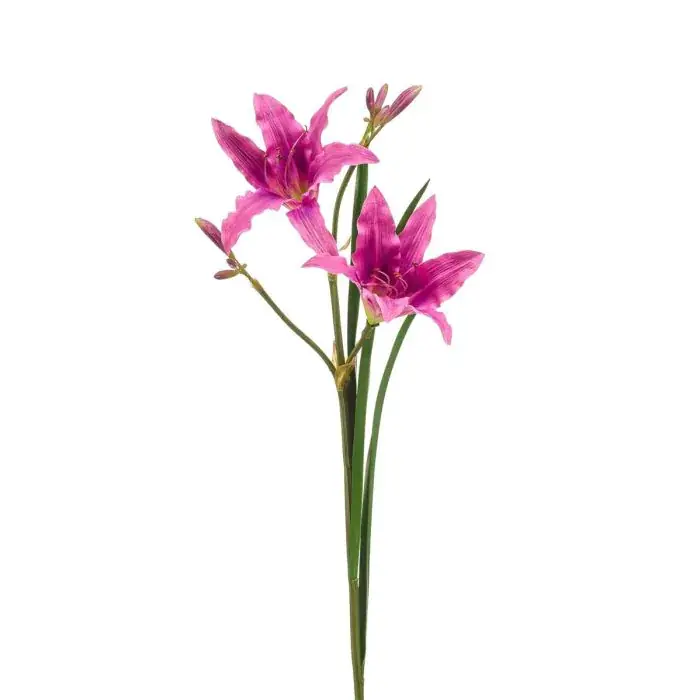 Fiore artificiale giglio ZAXIL con fiori, viola, 75 cm