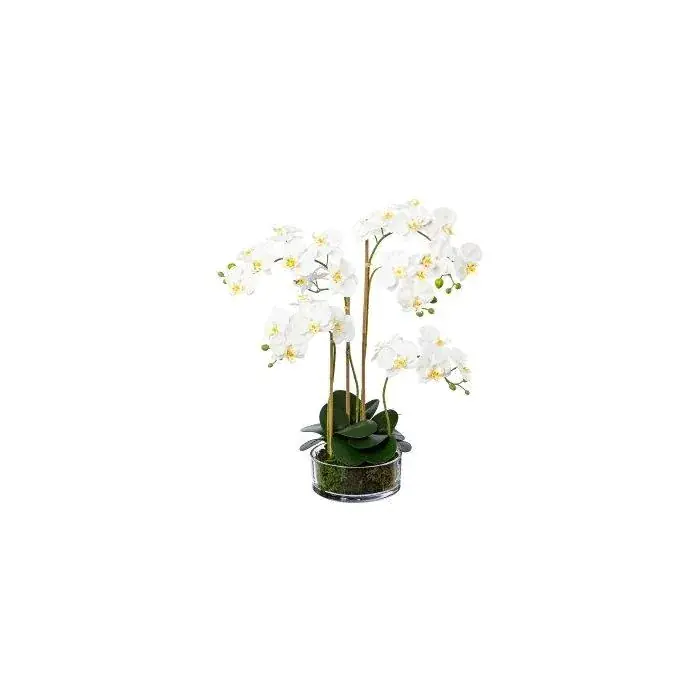 Orchidea artificiale Phalaenopsis MARFELA in vaso di vetro, bianca, 50 cm