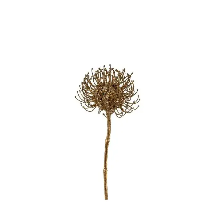 Fiore decorativo Cuscino per spilli Protea SONDYL, dorato, 50 cm