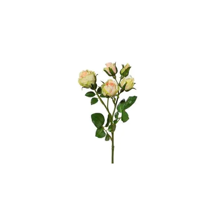 Ramo di fiori artificiali SKURN, albicocca, 40 cm