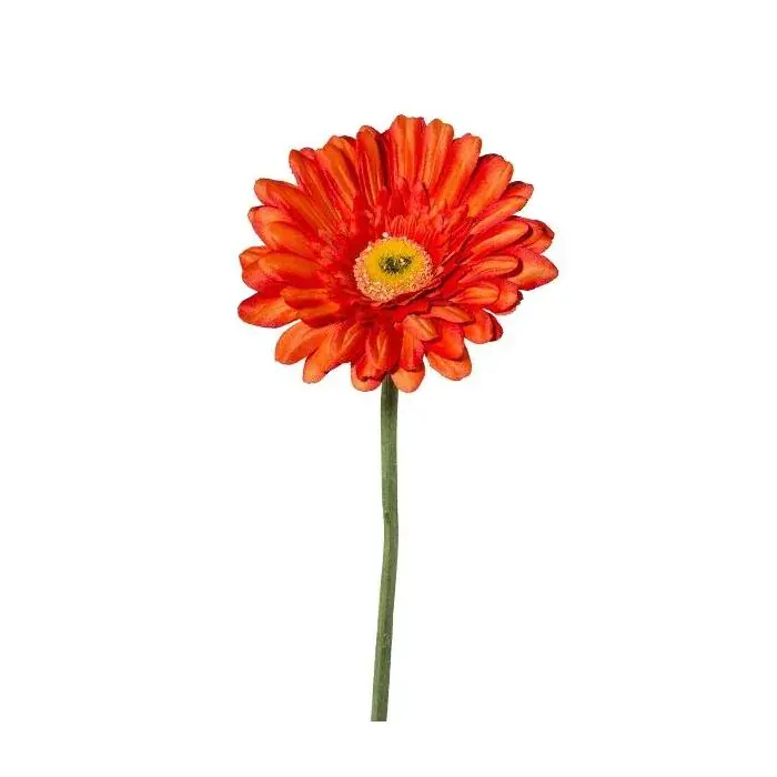 Fiore decorativo Gerbera VORNEK, arancione, 65 cm