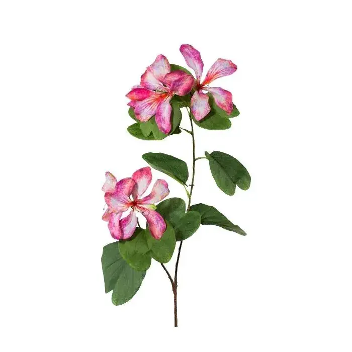 Ramo decorativo Bauhinia DRELMO, rosa, 85 cm