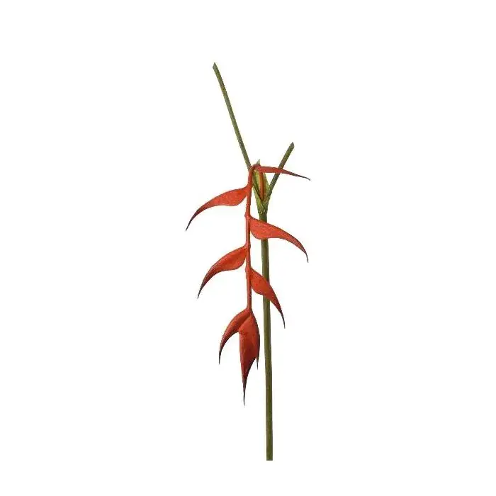 Fiore artificiale Heliconia MENJU, arancione, 55 cm