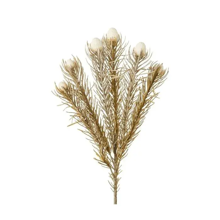 Ramo decorativo con spilli protea KROLI, crema-marrone, 50 cm