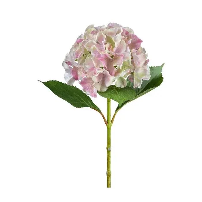 Fiore artificiale ortensia FUSTRAL, rosa-crema, 65 cm