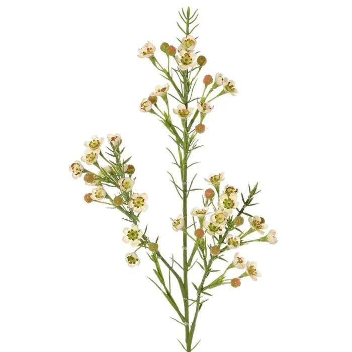 Ramo decorativo FRINDALS, crema, 65 cm