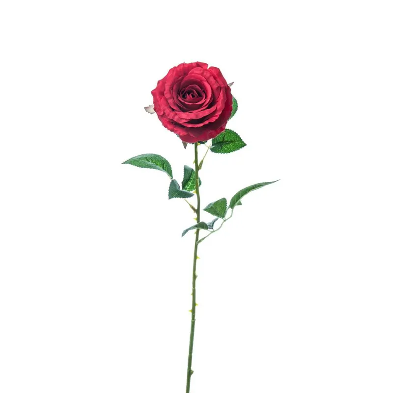 Rosa a fiore grande