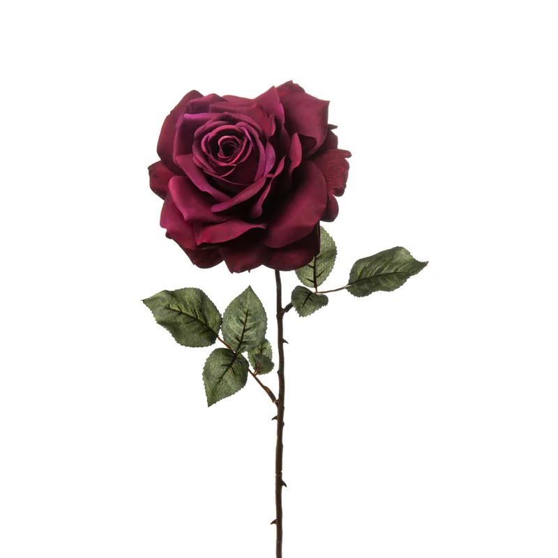 Rosa a fiore grande
