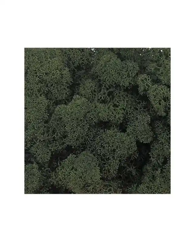 Muschio nordico stabilizzato Verde muschio 500gr