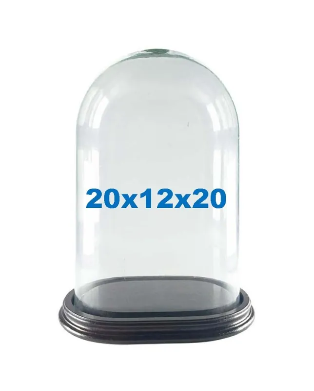 Campana cupola di vetro ovale 20x12x20 con base
